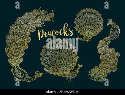 Golden peacocks set on the dark turqiouse background. Vector illustration Stock Vector