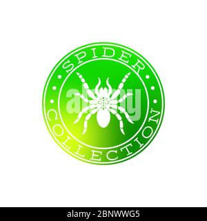 Spider collection white label design on the green circle, isolated vector symbol Stock Vector
