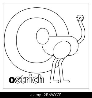 Coloring page or card for kids with English animals zoo alphabet. Duck