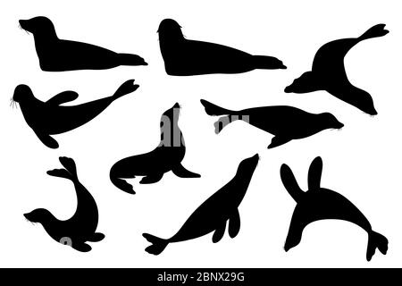 Black silhouette set of cute seal cartoon animal design flat vector illustration isolated on white background Stock Vector
