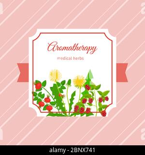 Aromatherapy medical herbs label design. Dandelion, raspberry, rose hip herbs. Vector illustration Stock Vector