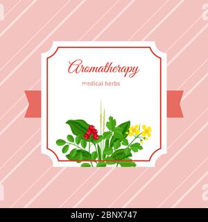 Aromatherapy medical herbs label design. Calendula, cowberry, plantain herbs. Vector illustration Stock Vector