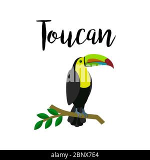 Exotic tropical bird isolated on white background. Toucan parrot bird vector element with hand drawn inscription Stock Vector