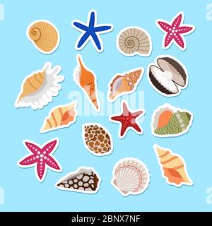 Sea shells cute stickers, vector set on light blue background Stock Vector