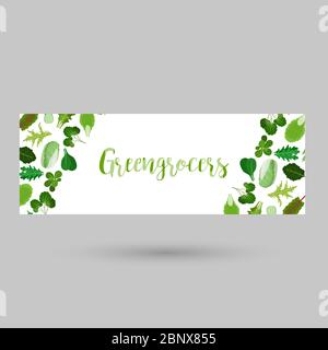 Greengrocers flyer or header with green salad vegetable leaves on white. Vector illustration Stock Vector