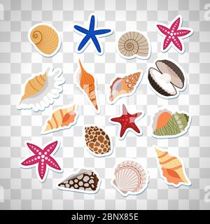 Sea shells cute stickers, vector set on the transparent background Stock Vector
