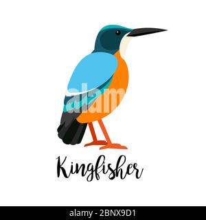 Exotic tropical bird isolated on white background. Kingbisher bird vector element with hand drawn inscription Stock Vector