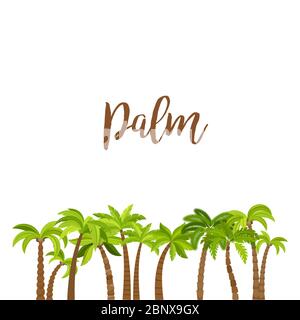 Cartoon colored palm trees forest, isolated on white background. Vector illustration Stock Vector