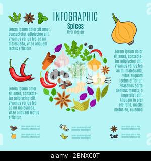 Spices vector infographic design with cartoon icons and text Stock Vector