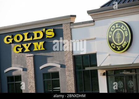 A logo sign outside of a Gold's Gym location in Midlothian