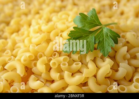 Macrophotography of raw small macaroni horns and fresh parsley leaf. Durum wheat pasta. Ingredient for healhy eating and vegetarian food. Front view. Stock Photo