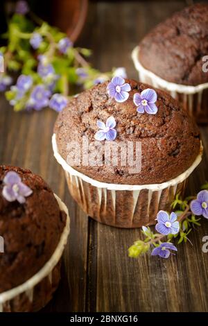 chocolate maffins decorated in blue spring flowers, vertical image Stock Photo