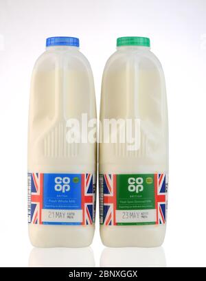 Co-op milk plastic bottles isolated against a white background with a reflection. two bottles one green top one blue top. Semi-skimmed and full fat. Stock Photo