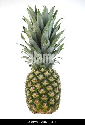 Fresh whole pineapple isolated on a white background Stock Photo