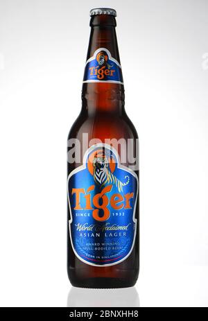 a-single-bottle-of-tiger-beer-