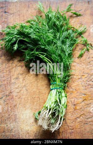 Bunch of green dill herb on wooden board Stock Photo
