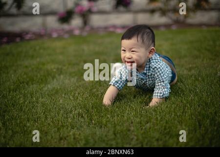 Cute asian boy playing alone in the park on the green grass, spring season outdoor background Stock Photo