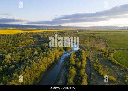 Flight through majestic river Dnister, lush green forest and blooming yellow rapeseed fields at sunset time. Ukraine, Europe. Landscape photography