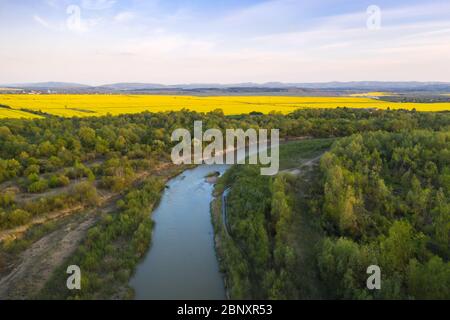 Flight through majestic river Dnister, lush green forest and blooming yellow rapeseed fields at sunset time. Ukraine, Europe. Landscape photography Stock Photo