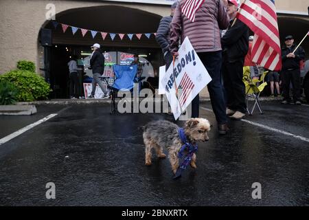 Vancouver, USA. 16th May, 2020. Protesters gather to show support for Kelly Carroll who officially opened her business, The Pet Biz, a luxury pet grooming operation in Vancouver, Wash., on May 16, 2020. The opening is a direct violation of Governor Jay Inslee's orders for non-essential business to remain closed at this time, but Kelly, who has already been operational for five days, insists she need to open to support her grand-daughters. (Photo by Alex Milan Tracy/Sipa USA) Credit: Sipa USA/Alamy Live News Stock Photo