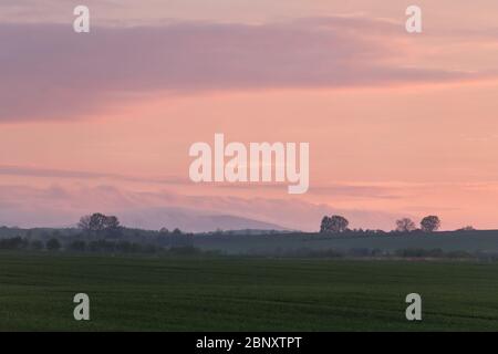 Beauty sunset with pink sunset sky and evening fog on spring wheat field. Nature landscape photography Stock Photo