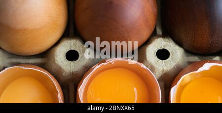 Three fresh egg yolks inside their shell, close to three different wooden eggs from pear, oak, wenge and maple wood. Stock Photo