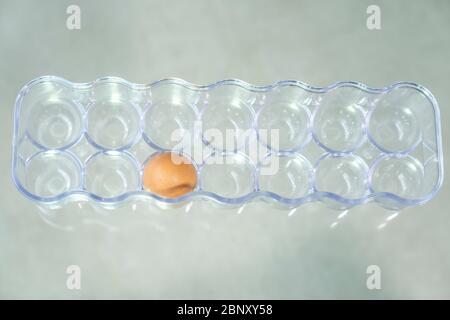 One egg in the box. Container for eggs isolated. Stock Photo
