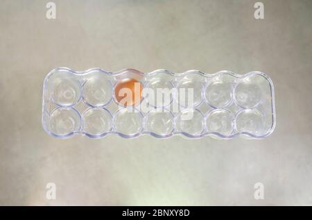 One egg in the box. Container for eggs isolated. Stock Photo