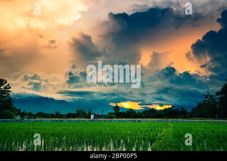 Beautiful rice terraces on background of mountains and scenery cloudy sky at sunset. Popular famous attraction and travel destination in Asia Stock Photo