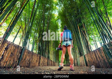 Active lifestyle travel woman with backpack and camera in hand explore Bamboo Forest in Thailand. Popular travel destinations in Asia. Stock Photo