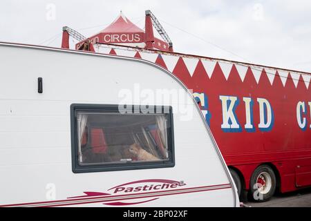 Morecambe, Lancashire of Britain. 16th May, 2020. A dog is seen in a trailer in front of the tent of the Big Kid Circus in the seaside town of Morecambe, Lancashire of Britain, on May 16, 2020. The circus from Brazil with 35 adults, four children and four dogs has been stranded here for months due to the coronavirus outbreak. The generous help of local people and authorities help the performers out during the difficult last few weeks and they are streaming their acts online now to raise for donations. Credit: Jon Super/Xinhua/Alamy Live News Stock Photo