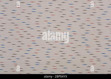 Beautiful veneer background in light grey tone. High quality wooden texture. Stock Photo