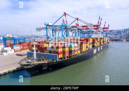 MSC Mega Container Ship docked at port during loading and unloading operation, Aerial view.