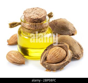 Apricot kernel oil and apricot kernels isolated on the white background ...