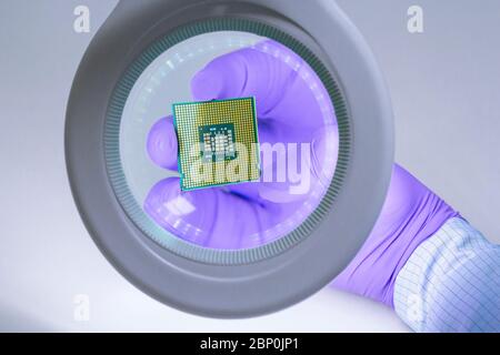 First-person view. A hand in a blue glove holds a processor chip and examines it under a magnifying glass. Stock Photo