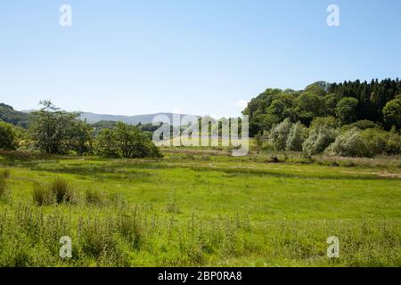 The Afon Lledr near the village of Dolwyddelan in the Lledr Valley lying between Blaenau Ffestiniog and Betws-y-Coed Snowdonia North Wales Stock Photo