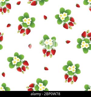 Red Strawberry and Flower Seamless on White Background. Vector Illustration. Stock Vector