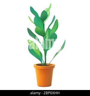 Vector of indoor plant in pot, realistic ficus front view. 3D Illustration green houseplant isolated on white background. Stock Vector