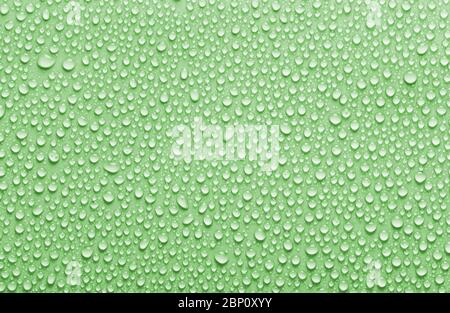 Rain droplets background, green colored water drops texture Stock Photo