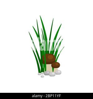 Bush of green grass with mushroom isolated on white background. Vector illustration Stock Vector