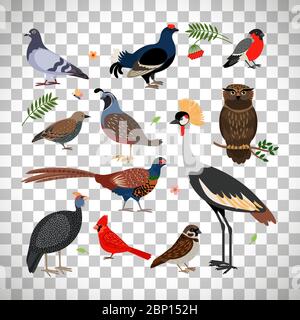 Vector bird icons. Owl and pheasant, bullfinch and crane isolated on transparent background Stock Vector