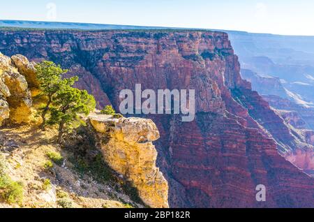 Grand canyon on sunny day,Arizona,usa. Stock Photo