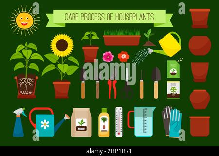 Houseplants care process icons and flowers in pots collection. Vector illustration Stock Vector
