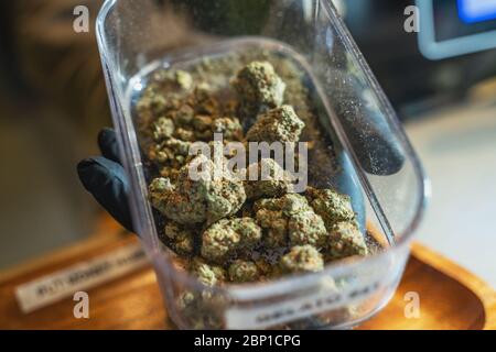 Marijuana or Cannabis flower buds in box of seller hand in Coffeeshop, close up. Stock Photo