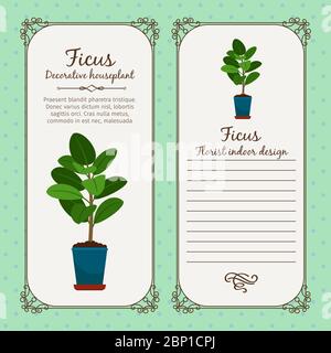 Vintage label template with decorative ficus plant in pot, vector illustration Stock Vector