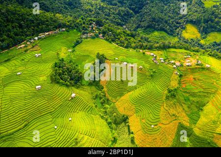 Pa-pong-peang rice terrace north Thailand Stock Photo