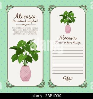 Vintage label template with decorative alocasia plant in pot, vector illustration Stock Vector
