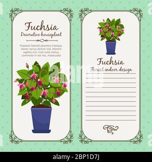 Vintage label template with potted flower fuchsia, vector illustration Stock Vector