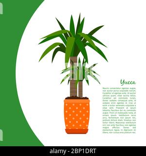 Yucca indoor plant in pot banner template, vector illustration Stock Vector
