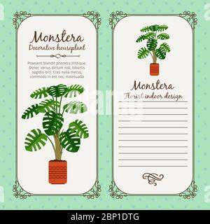 Vintage label template with decorative monstera plant in pot, vector illustration Stock Vector